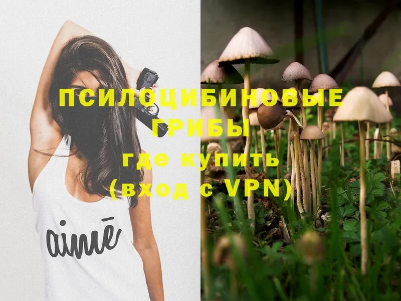 Псилоцибиновые грибы Magic Shrooms  наркошоп  Закаменск 